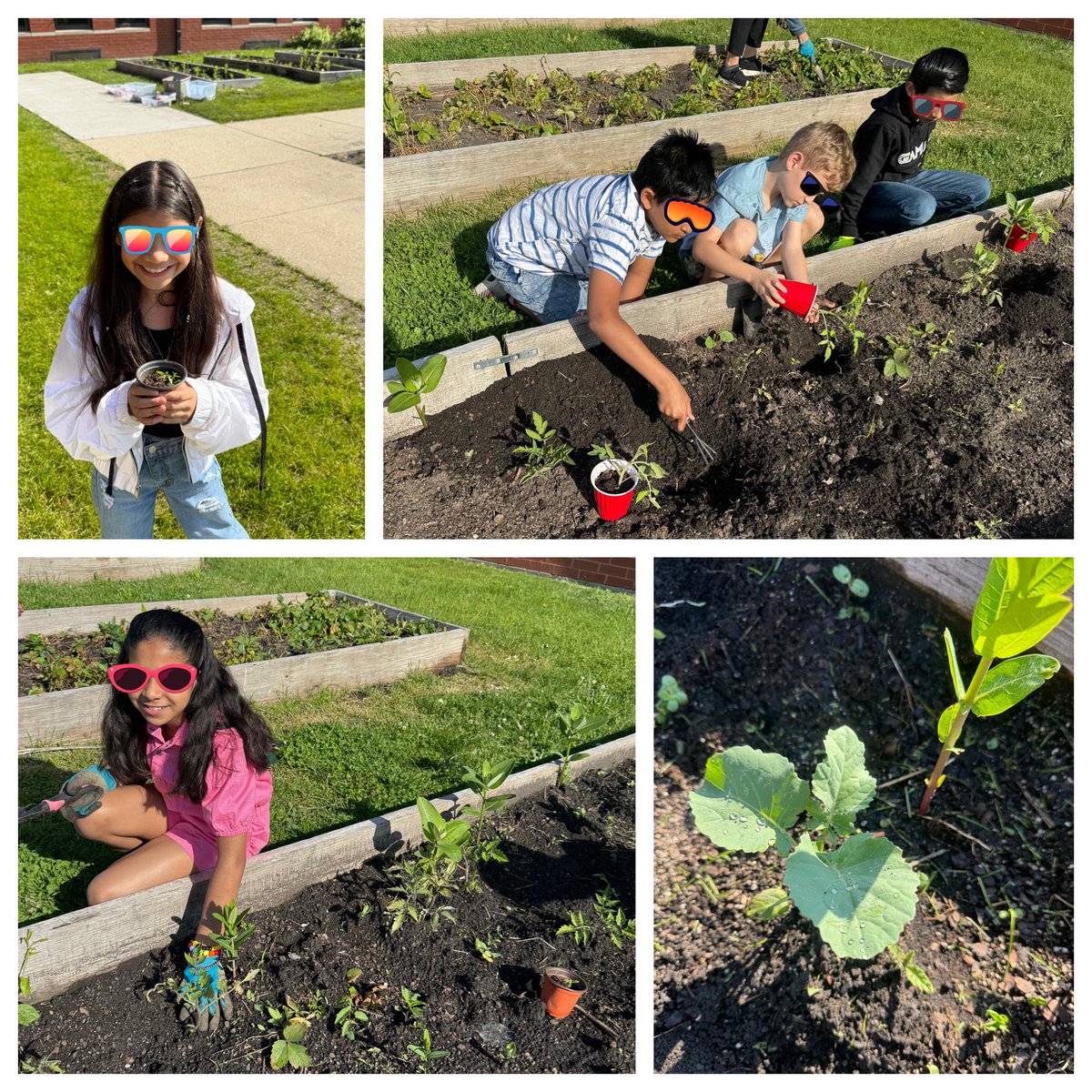 Melissa Eaton tweet media