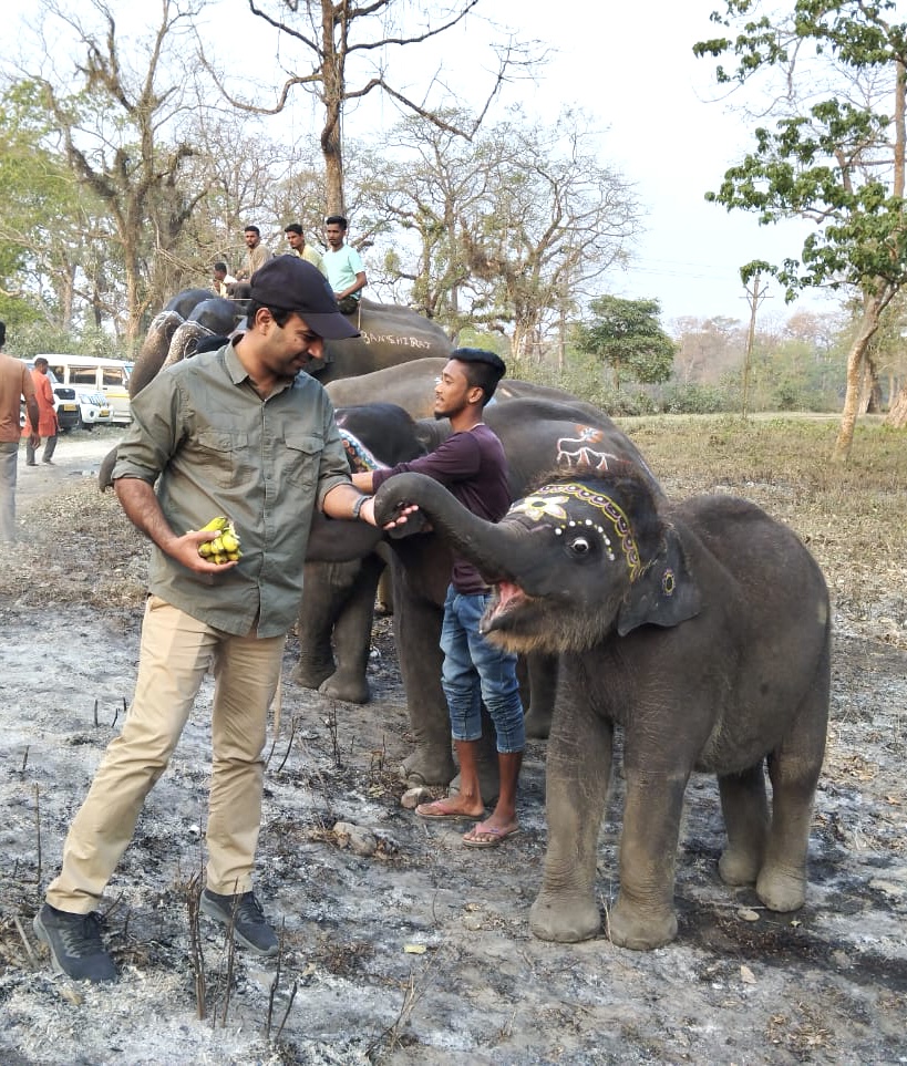 Was rescued when he was four days old, as mother was no more. Was able to survive. Now Gajraj is raised at our camp with other elephants. During a special treat on festival.