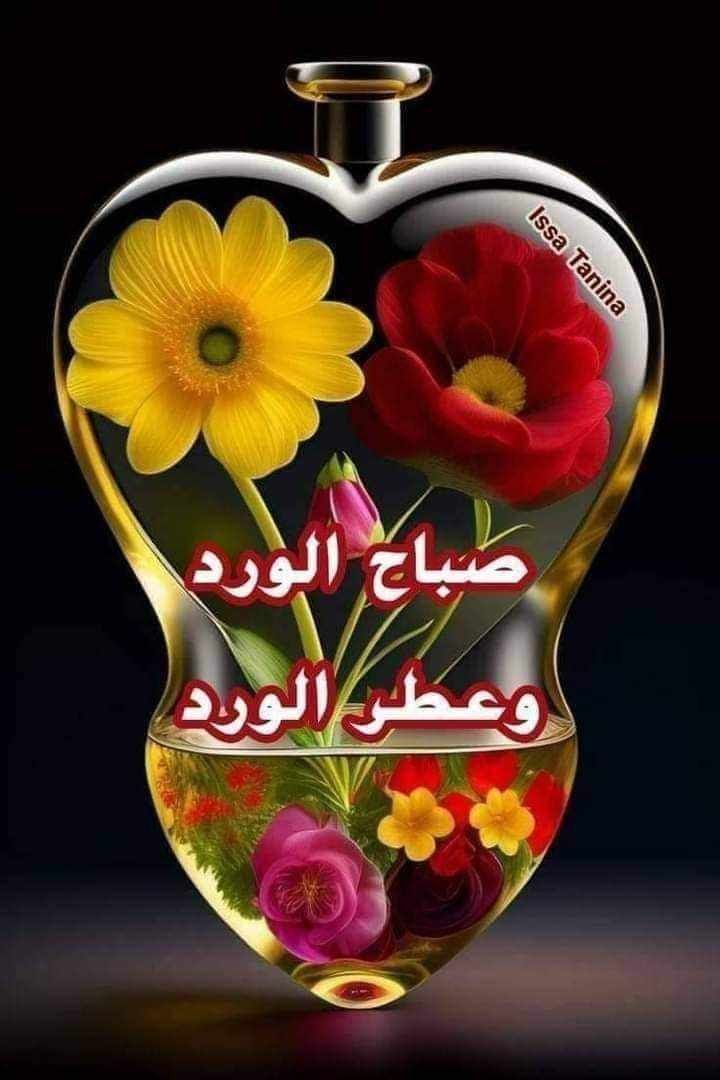 من يقابل نروح نفطر سوا  (س جيزان  صبيا ابوعريش)