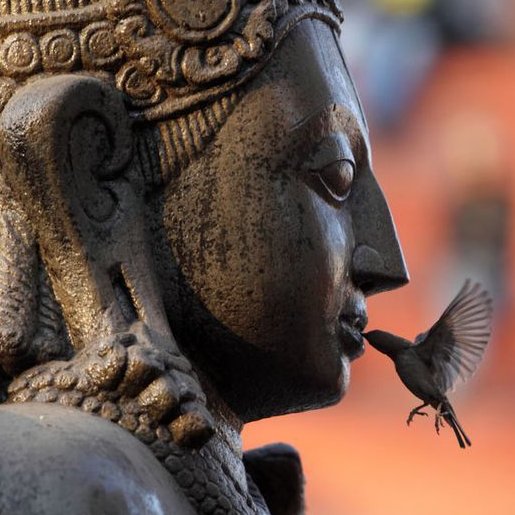 Sur la bouche du Bouddha
un oiseau voyageur
picore la lumière.

Haïku
