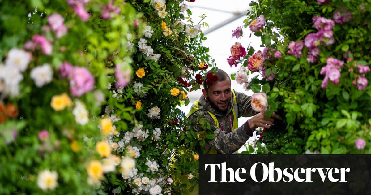 UK’s garden centres hope sunshine and Chelsea flower show will help them rebound from the rain: A cold, damp spring depressed plant sales in the UK, but help is at hand from the ‘Glastonbury festival of the gardening world’
… dlvr.it/T7361f #Chelseaflowershow #Gardens