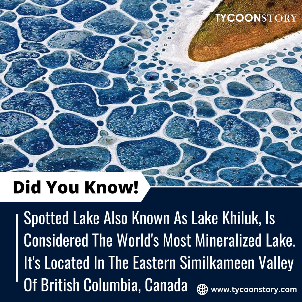 #DidYouKnow

#spottedlake #lakekhiluk #naturalwonders #britishcolumbia #osoyoos #Canadanature #geologicalwonders #sacredsites #IndigenousHeritage #naturetherapy #travelbc #explorecanada #naturelovers #distinctiveAppearance

tycoonstory.com