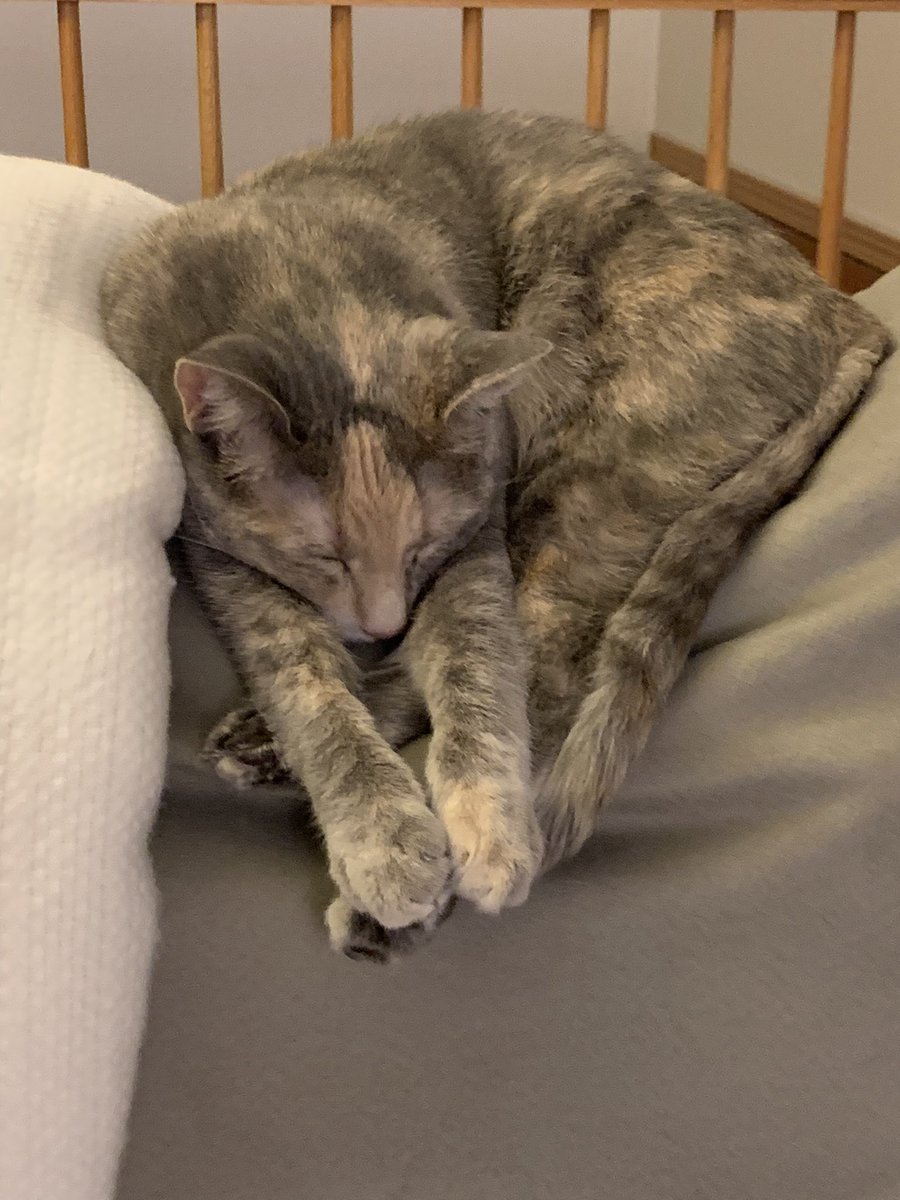 Neatly folded