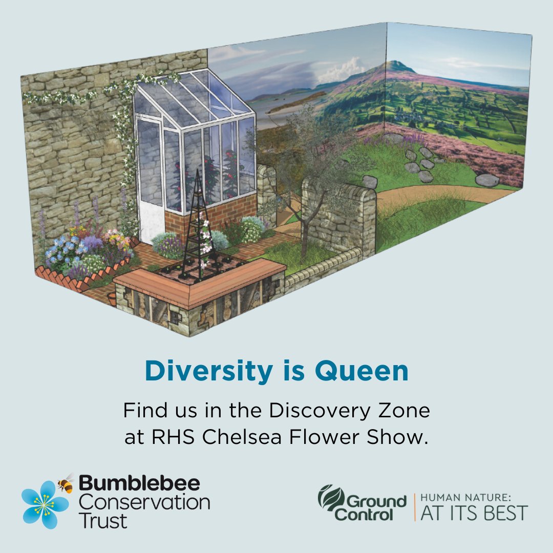 Looking forward to #RHSChelsea Flower Show next week? 🌺

We're delighted to exhibit the wonderful diversity of bumblebees – here's a sneak peak! 👀

Come and find our ‘Diversity is Queen’ exhibit in the Discovery Zone 🐝

🤝 <a href="/GroundControlGC/">Ground Control</a> @habitat_aid <a href="/FlyingFlowersUK/">Flying Flowers</a>