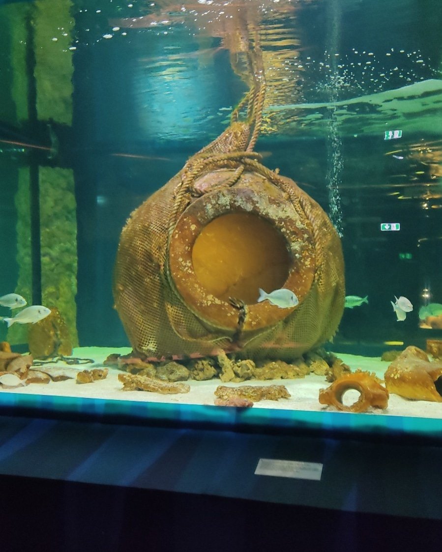 #GiornataInternazionaledeiMusei 
La bellezza dei #musei? Una totale "immersione" nella storia!

#museitaliani #ministerodellacultura 

<a href="/ArcheoEgnazia/">Museo Archeo Egnazia</a> <a href="/MiC_Italia/">Ministero della Cultura</a>