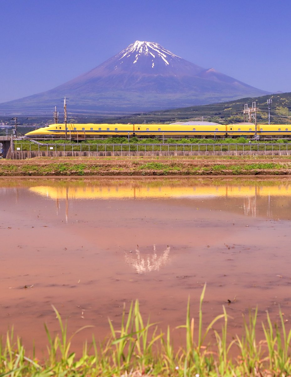 五月晴れの水田を行くドクターイエロー🚄✨😄
#富士山　#ドクターイエロー　#イマフジ
