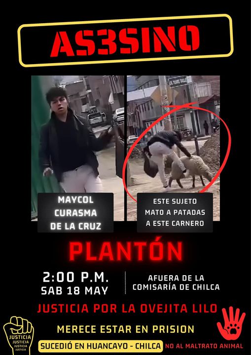 ATENCIÓN HUANCAYO: #COMPARTE #PLATÓN NO AL MALTRATO ANIMAL. Sábado 18 de Mayo 2:00 pm, Comisaría de Chilca, HUANCAYO. PARA QUE MAYCOL CURASMA DE LA CRUZ NO SALGA LIBRE Y PAGUE POR LO QUE HIZO.