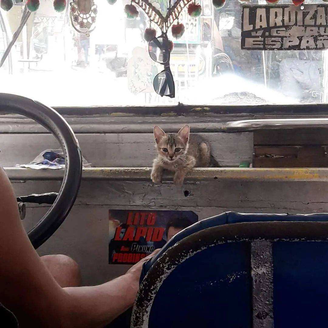 mgapusasadaan's tweet photo. bat tulog yung konduktor https://t.co/4dDg6okuEe