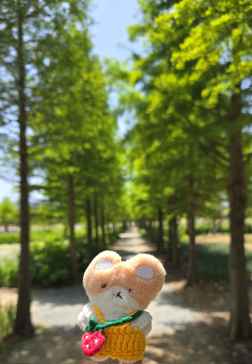 da_hyeonee_0710's tweet photo. 터래기 꼬까옷 입혀서 여행왔어요!!
옷 진짜 넘넘 이뻐요👍🏻  나체도 다닌..저의 터래기에게 나들이 옷이 생겼어요😆 같이 보내주신 네잎클로버가방 집에 있는 터래기한테 입혀줬습니다! 앞으로 잘 입혀서 다닐께요🙇🏻‍♀️ 감사합니다!!!!

@Soup_doll https://t.co/95VNmGcksI