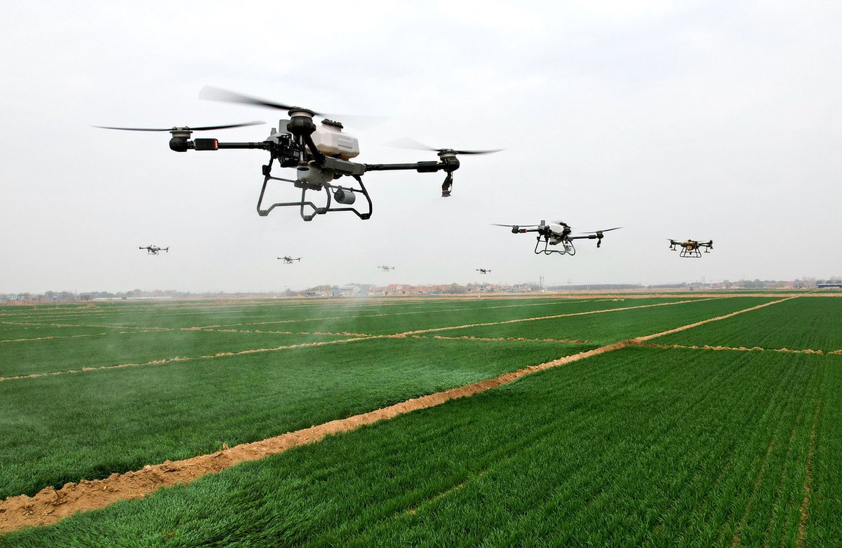 Una flotilla de drones fumiga de manera coordinada un campo de cereales en Binzhou, Shandong, China (CFOTO, 2024)
