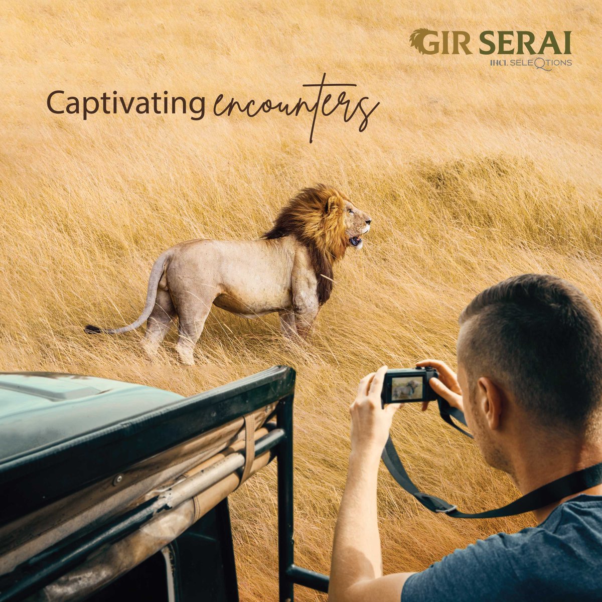 Get up close and personal with creatures of the wild as you embark on thrilling safaris. Let the rhythm of the wilderness awaken your senses and leave you spellbound at Gir Serai.

#Safari #Wild #Beauty #Majesticlions #Nature #Junglesafari #SeleQtionsHotels #NotJustAnotherHotel