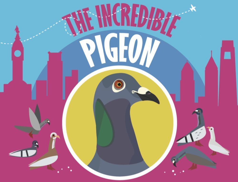 Pigeons - Love them or hate them? Does this change your opinion? - Great reading for students bit.ly/3TZuEMf