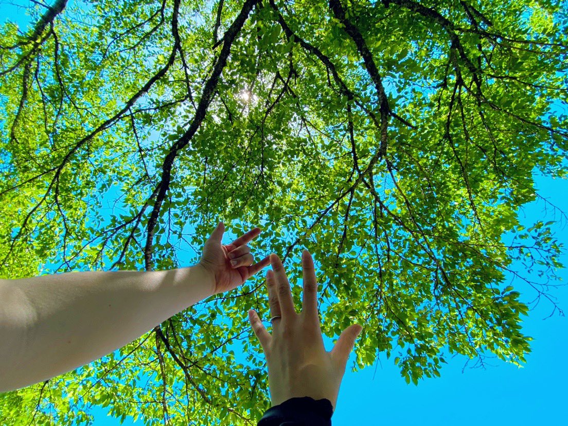 お出掛け日和過ぎる✋🏻☀️🌳