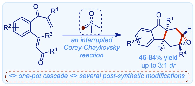 S. S. V. Ramasastry (@ramsastrys) on Twitter photo Our work on 'interrupted Corey-Chaykovsky reaction' published in <a href="/JOC_OL/">J Org Chem/Org Lett</a>. The treatment of tethered bis-enones with sulfoxonium ylides generate unexpected products, epoxy-fused hydrofluorenones. Credit goes to <a href="/Iamjp_chemist/">Jay Prakash Maurya</a> <a href="/serbonline/">SERB</a> <a href="/DCS_IISERMOHALI/">Department of Chemical Sciences IISER Mohali</a>
pubs.acs.org/doi/epdf/10.10… Our work on 'interrupted Corey-Chaykovsky reaction' published in <a href="/JOC_OL/">J Org Chem/Org Lett</a>. The treatment of tethered bis-enones with sulfoxonium ylides generate unexpected products, epoxy-fused hydrofluorenones. Credit goes to <a href="/Iamjp_chemist/">Jay Prakash Maurya</a> <a href="/serbonline/">SERB</a> <a href="/DCS_IISERMOHALI/">Department of Chemical Sciences IISER Mohali</a>
pubs.acs.org/doi/epdf/10.10…