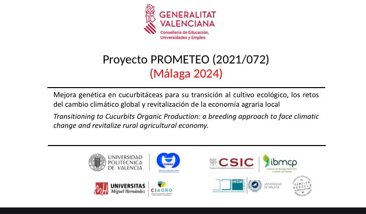 Todo en marcha en los ensayos de evaluación de variedades de 🍈 y 🍉 en las condiciones agroecológicas del Valle del Guadalhorce (Málaga) PROMETEO/2021/072 @GVAeducacio @UPV @geno_breed @IBMCP @CSIC