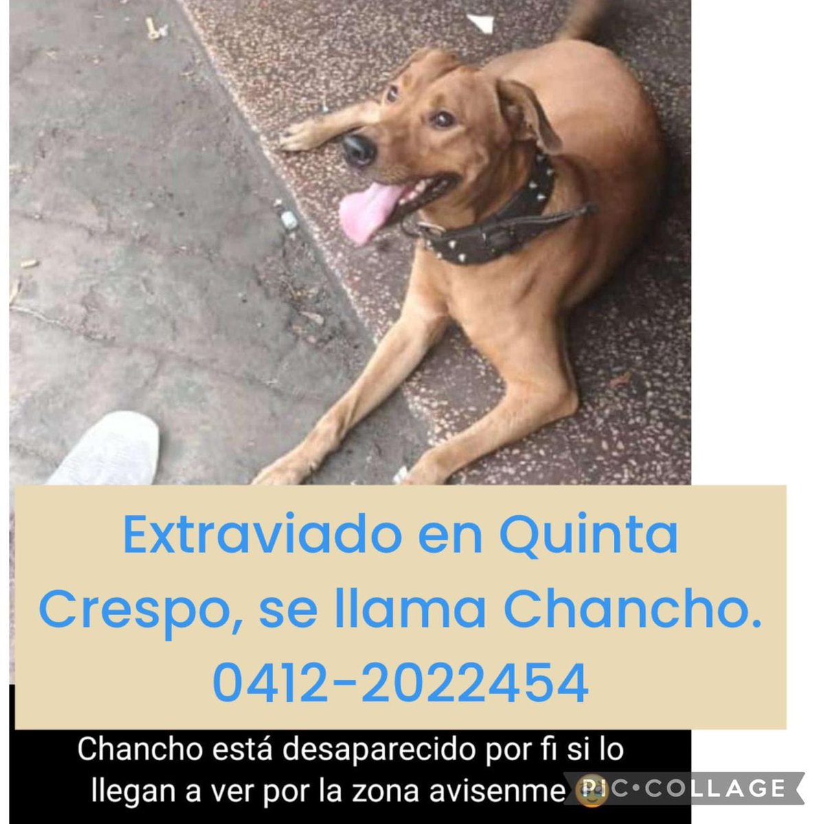 Se busca a Chanco, Quinta Crespo - Caracas