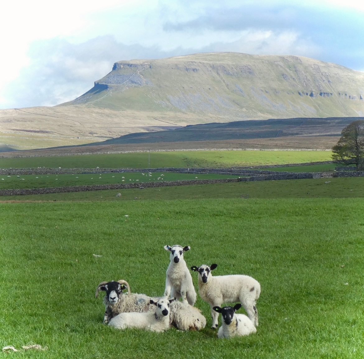 Family portrait with Pen-y-ghent as background