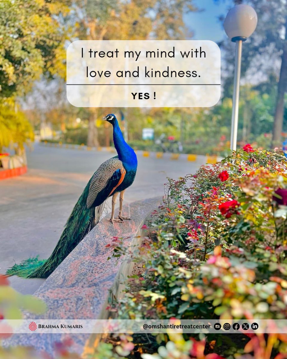 Increase your self-respect to overcome self-criticism. Treat yourself with kindness and love. 💖 Follow us @OMSHANTIRETREAT for daily wisdom! #SelfRespect #SelfLove #PositiveThinking #InnerPeace #Mindfulness #omshanti #brahmakumaris #omshantiretreat