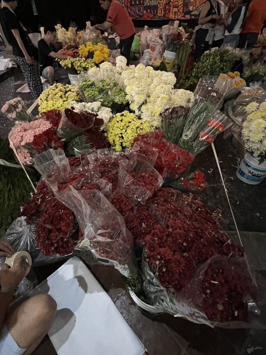 Ryujin8jo's tweet image. 明日早朝から花絵づくりがスタート！ということで、今夜は素材のチェックと移動。。毎度日本チームは花の数が多い。。
#GUANAJUATO #mexico #alfombras #flowercarpet #花歌舞伎