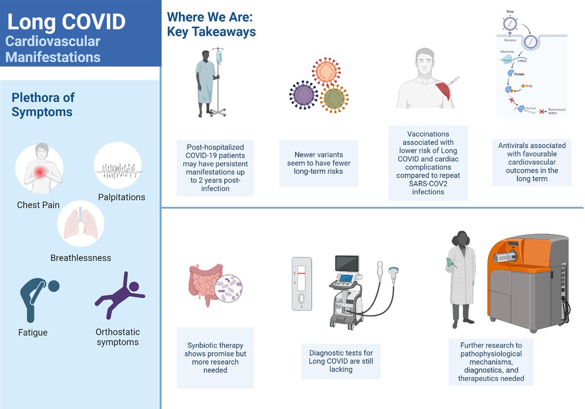 The complexity of cardiovascular long COVID: where we are, by Ghandi and Raman academic.oup.com/cardiovascres/… @CVR_TomaszGuzik