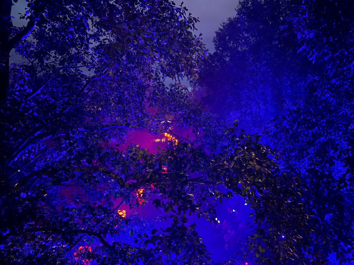 Ohessa blogitekstini ”Kuulen sinua - ja aivopesun huminan”! Ottakaa unihaaste vastaan ja kuulkaa gerontologian professori 
<a href="/KulmalaJenni/">Jenni Kulmala</a>
 ’n tärkeistä hankkeista ja viisaista ajatuksista! #aivoterveys #uni #inhimillinenvanhuus 
@Aivoliitto
  aula95.me/?p=529