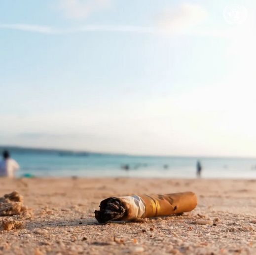 Did you know? Butts 🚬 are the most common plastic waste on beaches, making marine ecosystems highly exposed to #microplastic discharges.

It's time to #BeatPlasticPollution!

undp.org/popping-the-bo…