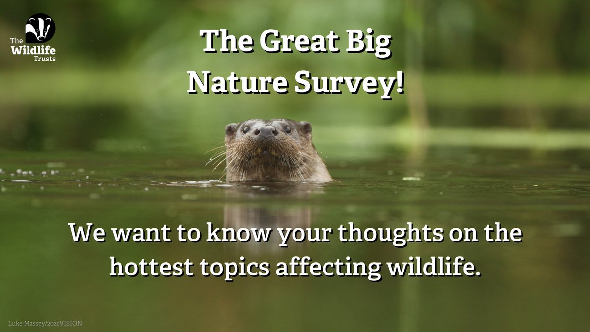 We launched The Great Big Nature survey, giving YOU the opportunity to make your voice heard when it comes to nature and wildlife. Take some time to let us know your thoughts 👉 wildlifetrusts.org/great-big-natu…