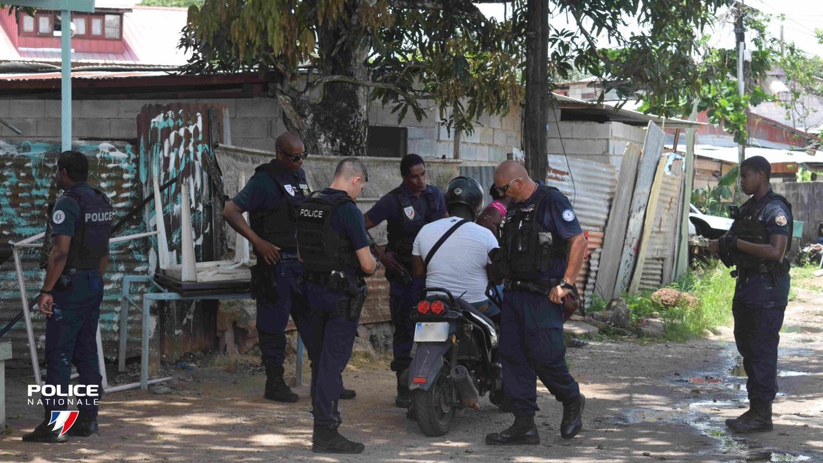 #OpérationPlaceNette | 📍 Cayenne (973). La semaine dernière, pendant 3 jours, les #policiers de Guyane ont mené de vastes opérations de contrôle. 181 individus et 97 véhicules contrôlés. Près de 9000€ saisis. 16 coqs de combats récupérés. 9 individus interpellés.