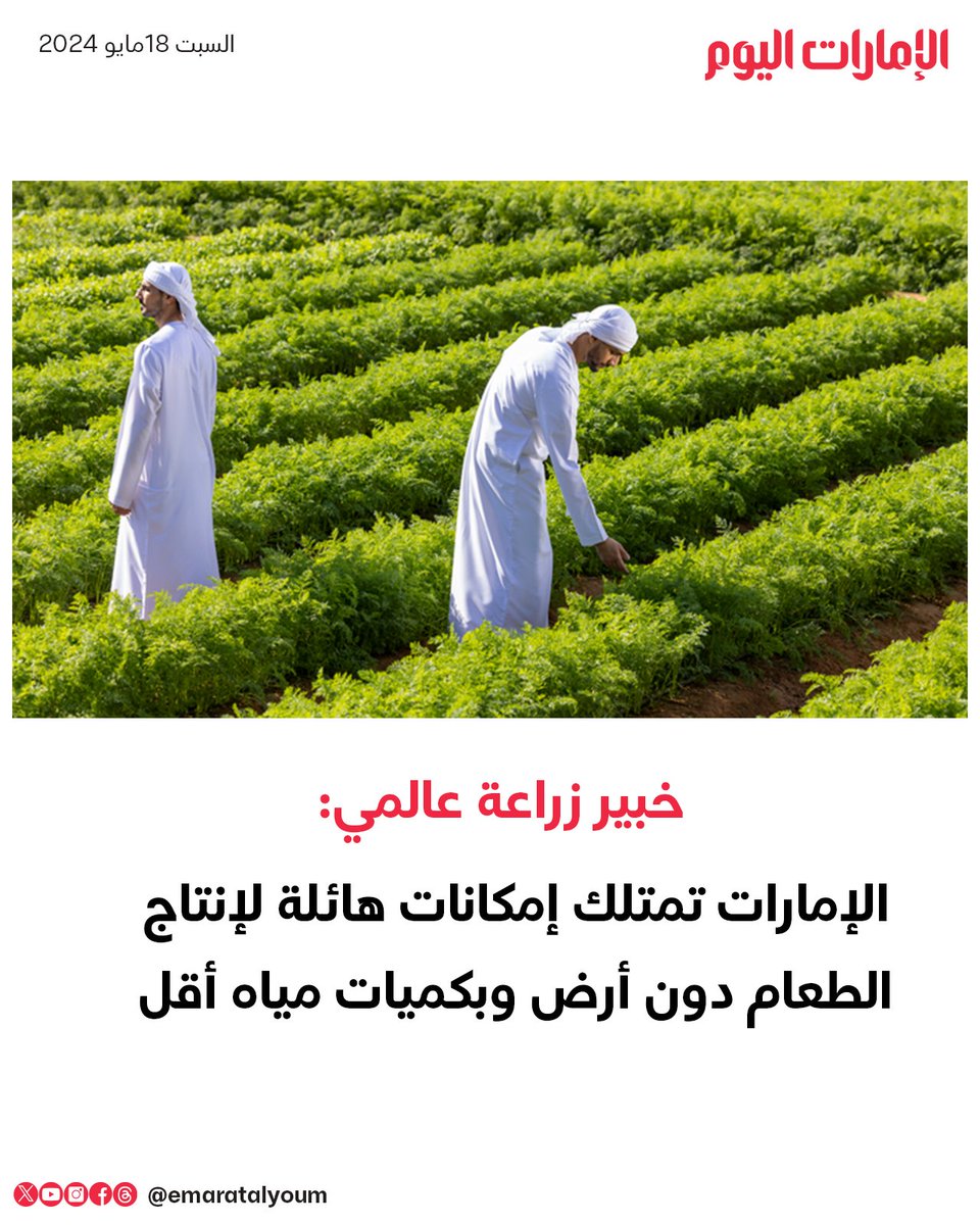 خبير زراعة عالمي: الإمارات تمتلك إمكانات هائلة لإنتاج الطعام دون أرض وبكميات مياه أقل للتفاصيل: trib.al/cWMfqAW #الإمارات_اليوم