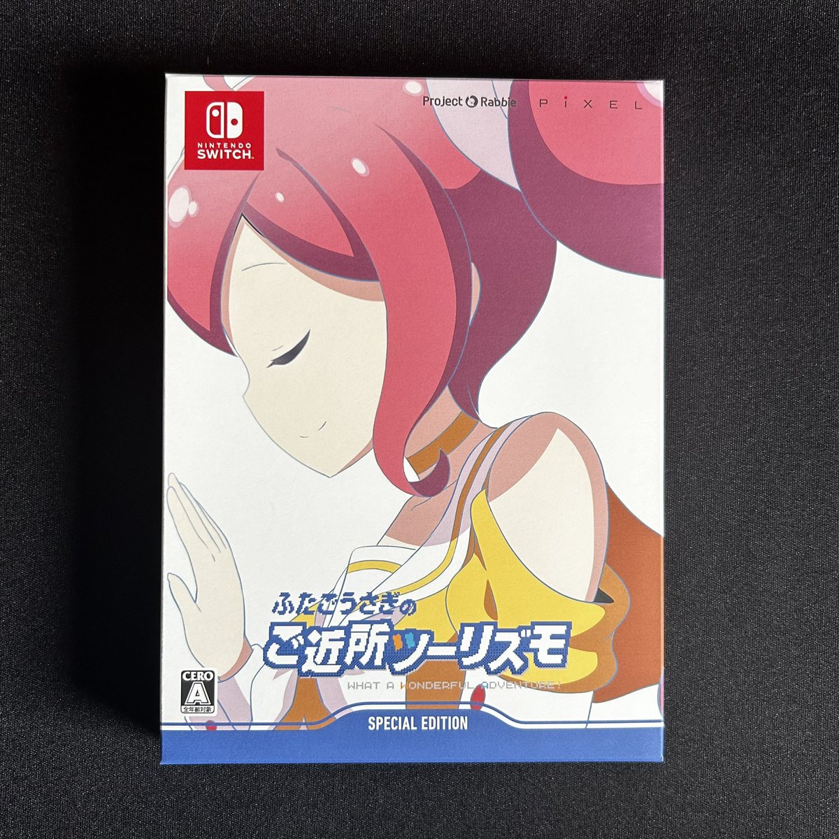 Nintendo Switch ふたごうさぎのご近所ツーリズモ 限定特装版の