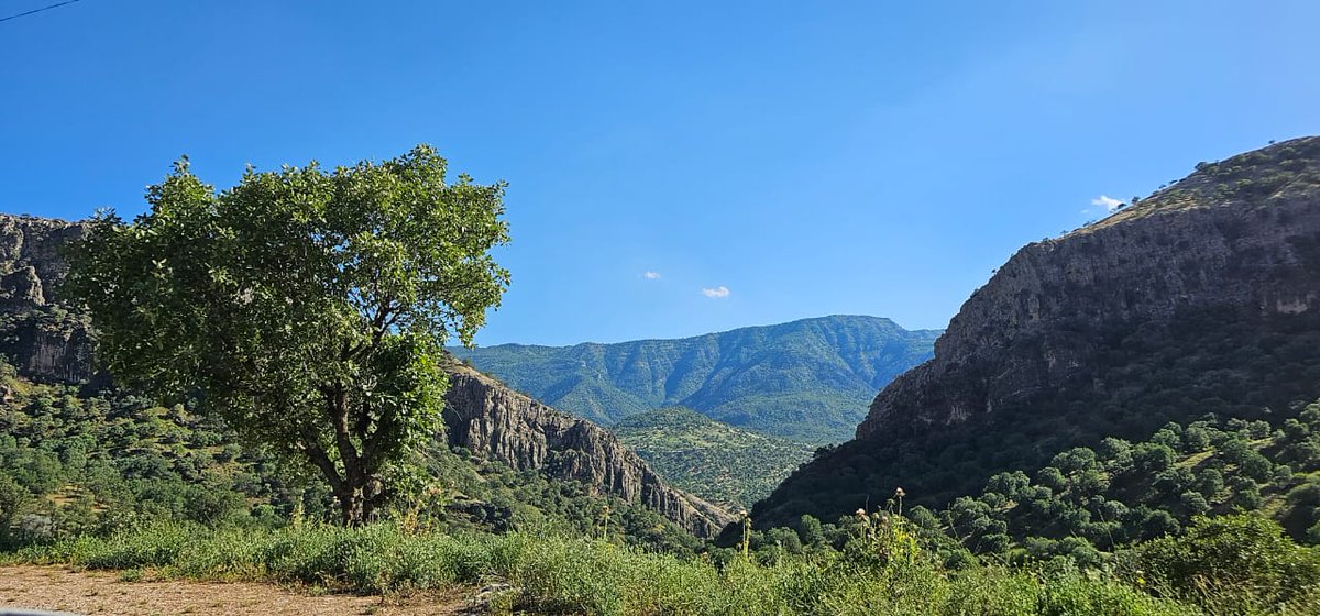 Good morning #beautifulkurdistan