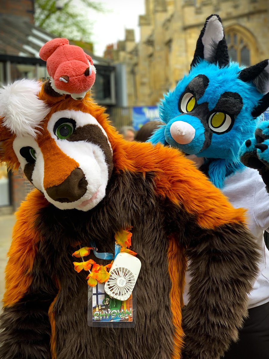 Happy #fursuitfriday!

📷<a href="/CuddlesRaccoon/">Cuddles - (New Account!)</a> 
📍<a href="/yorkfurs/">YorkFurs</a>