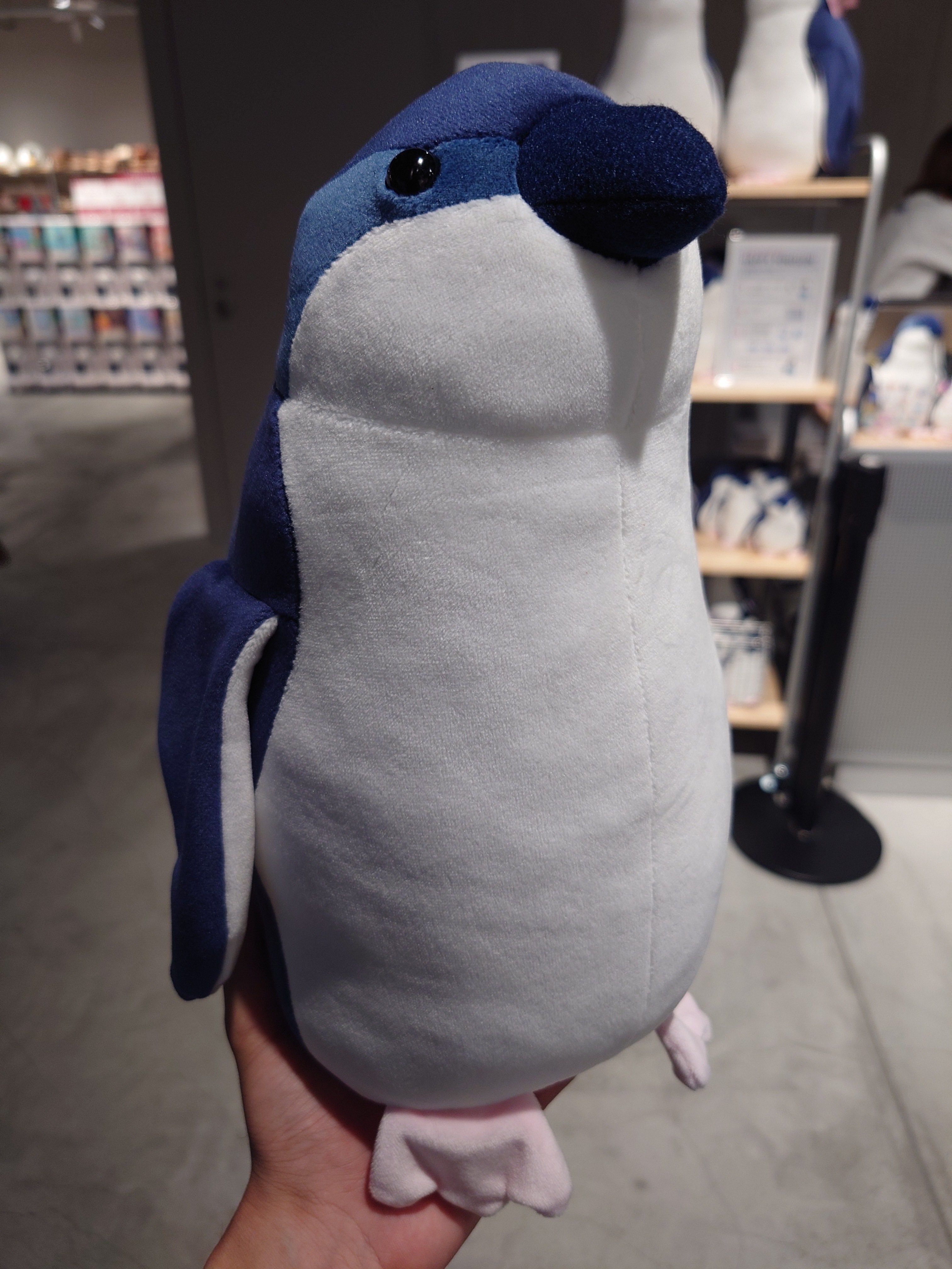 かるぴこ on X: 