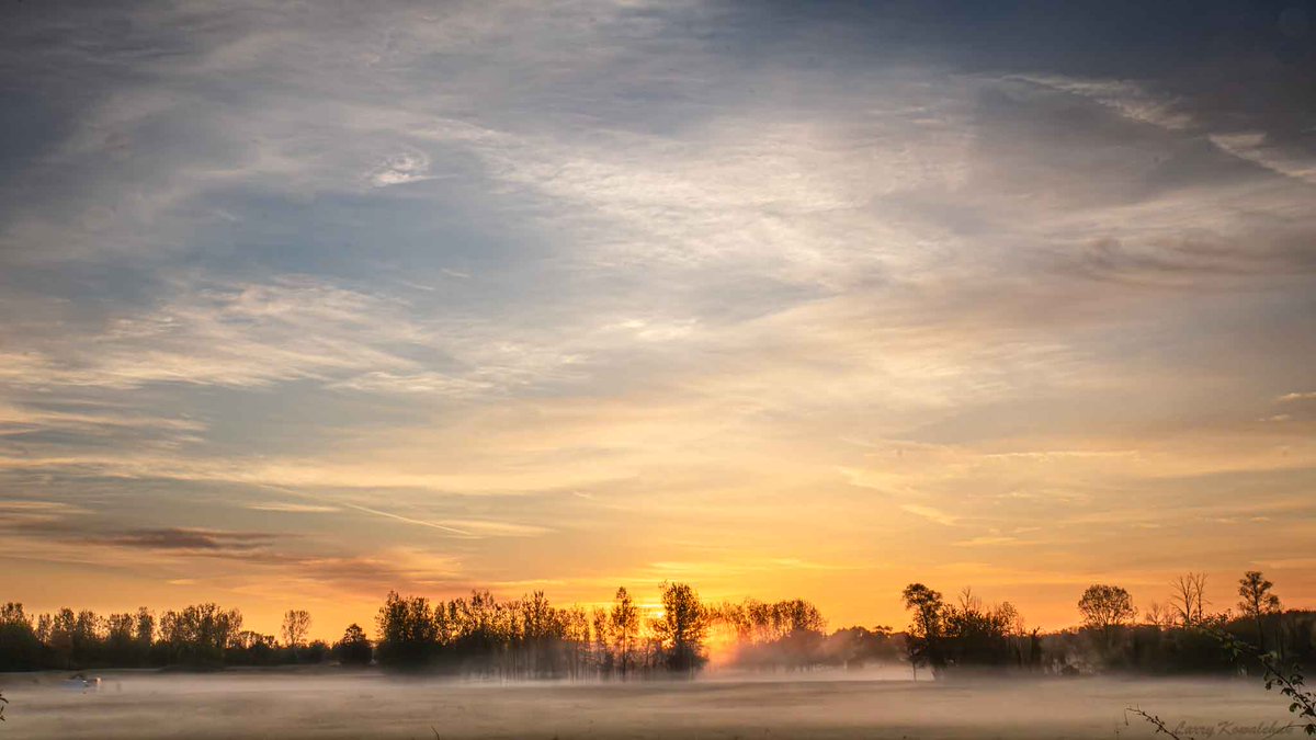 Ground Fog at Sunrise in Thames Centre, Ontario #fog #landscapephotography #naturephotography #NatureLover #sunrise #clouds #groundfog #ThamesCentrePhotographer #Ontario