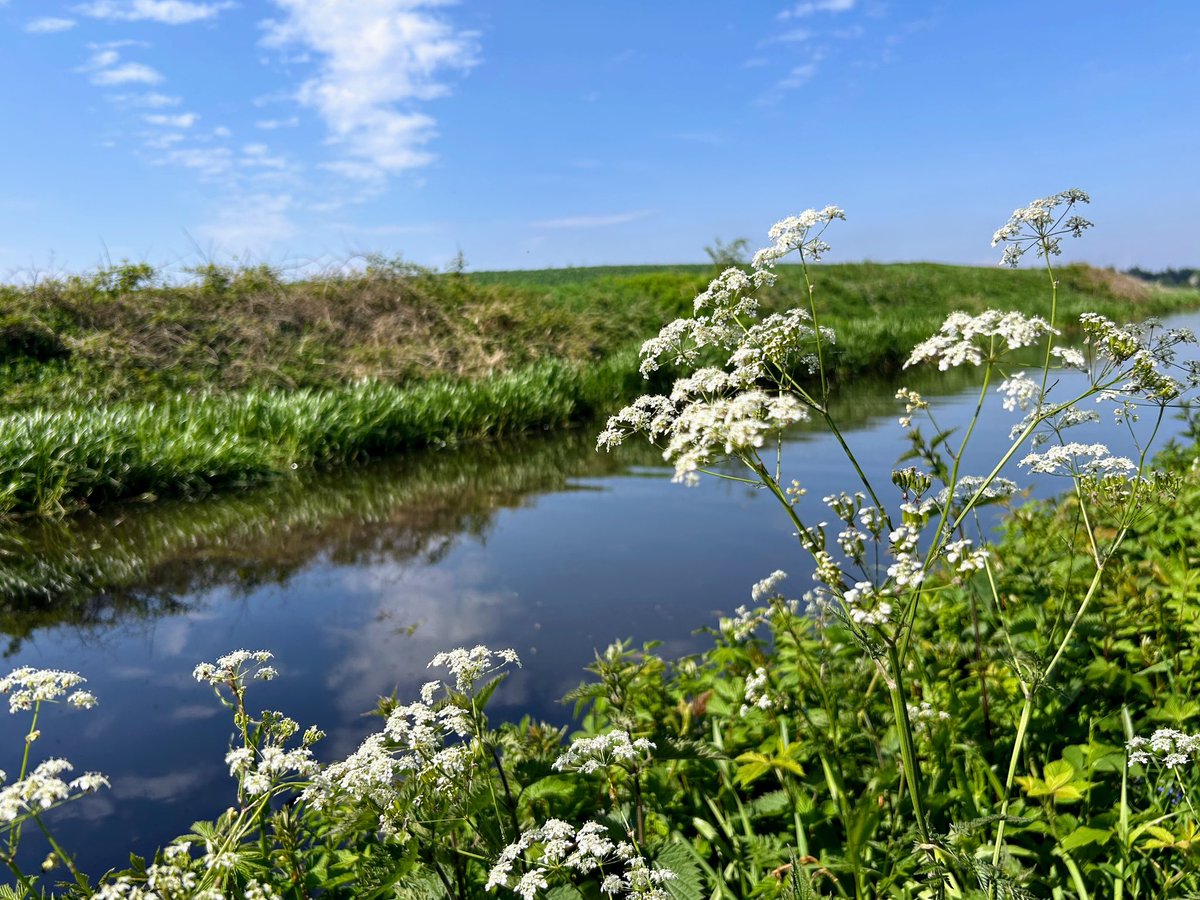 Beautiful morning on the Union Canal #Scotland #weatherforecast #sunshine #canal