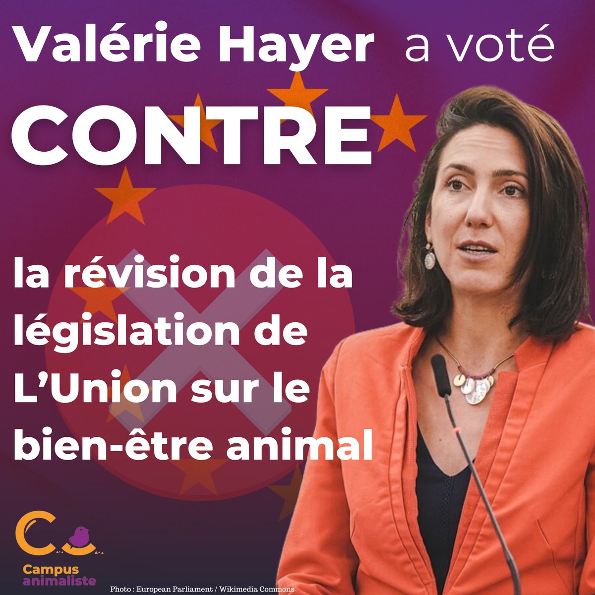 La candidate macroniste @ValerieHayer a voté contre la révision de la législation de l’Union sur le bien-être animal. 

Pour les animaux, pour l’environnement et pour nous-même, le vote utile, c’est le vote pour le @PartiAnimaliste.
#Européennes2024