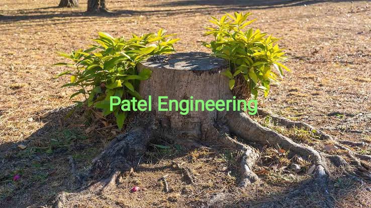 #PatelEngineering cmp-58.6
#PatelEngg has much potential to multifold your returns.
Just started regrowing😉
#Investing 
Disc: Not a Buy/Sell Recommendation