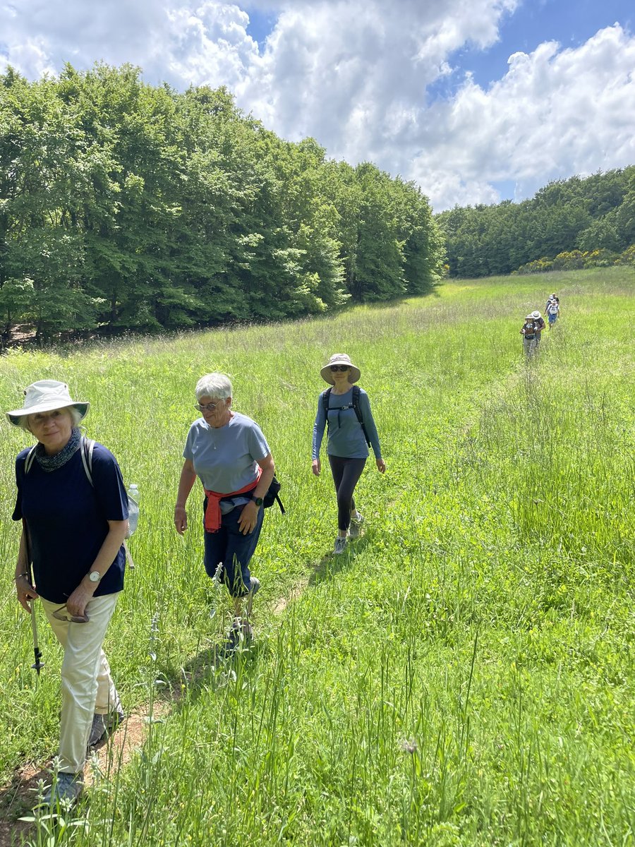 Just finished an #HF holiday in #Tuscany. With us were 16 #CoCoHikers, from the SF Bay Area. Coincidentally, they are booked onto an HF holiday in #Cornwall (#StIves) next May. Their leader announced that they will all have read our book before their visit! @renardpress