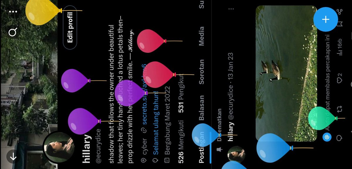 ada balon (akun private ku ilang)