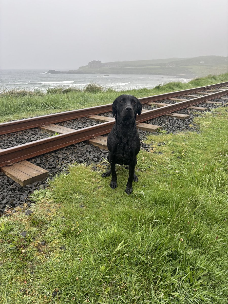 dunloy1's tweet photo. Slight mizzle but doesn’t take away the beauty of this place #runkerry #superfrankie #shewore #forever21 https://t.co/RZVbQRaJW5