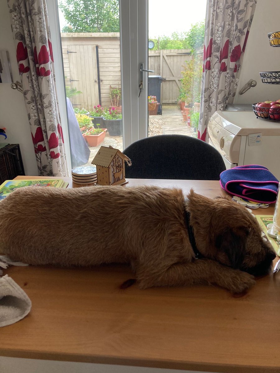 I tabled a motion that I can do anything whilst mummy is not here BOL! ⁦<a href="/lyndaward5/">Dame Aunty Lynda Ward. BTP CBE.</a>⁩ ⁦<a href="/MrSebBT/">Sir Boots BT - bro to Sir Seb🌈💕</a>⁩ ⁦<a href="/HeidiBT3/">HeidiBT3 Lady caikey member of the house of woofs</a>⁩ ⁦@DirtyHippyDalek⁩ ⁦<a href="/Baileyspringer1/">Sir Bailey & Sir Buster 🏴󠁧󠁢󠁳󠁣󠁴󠁿</a>⁩ ⁦<a href="/claptonterrier/">Sir Clapton Terrier</a>⁩ ⁦<a href="/BeedieCath/">Cath Beedie</a>⁩ ⁦<a href="/Europete2/">Europete CBE</a>⁩