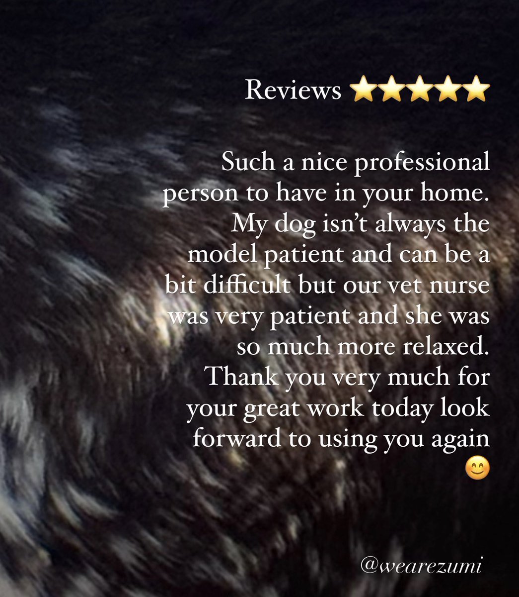 Vet Nurses are just brilliant people! 

Register your pets on the zumi app today! It’s quick, easy and FREE! - and it’s great to feel prepared.

#zumi #professional #petcare #app #vetnurse #homevisits #dog #cat #freedownload #iOS #appstore #VNAM2024 #WhatVNsDo #20YearsOfVNAM