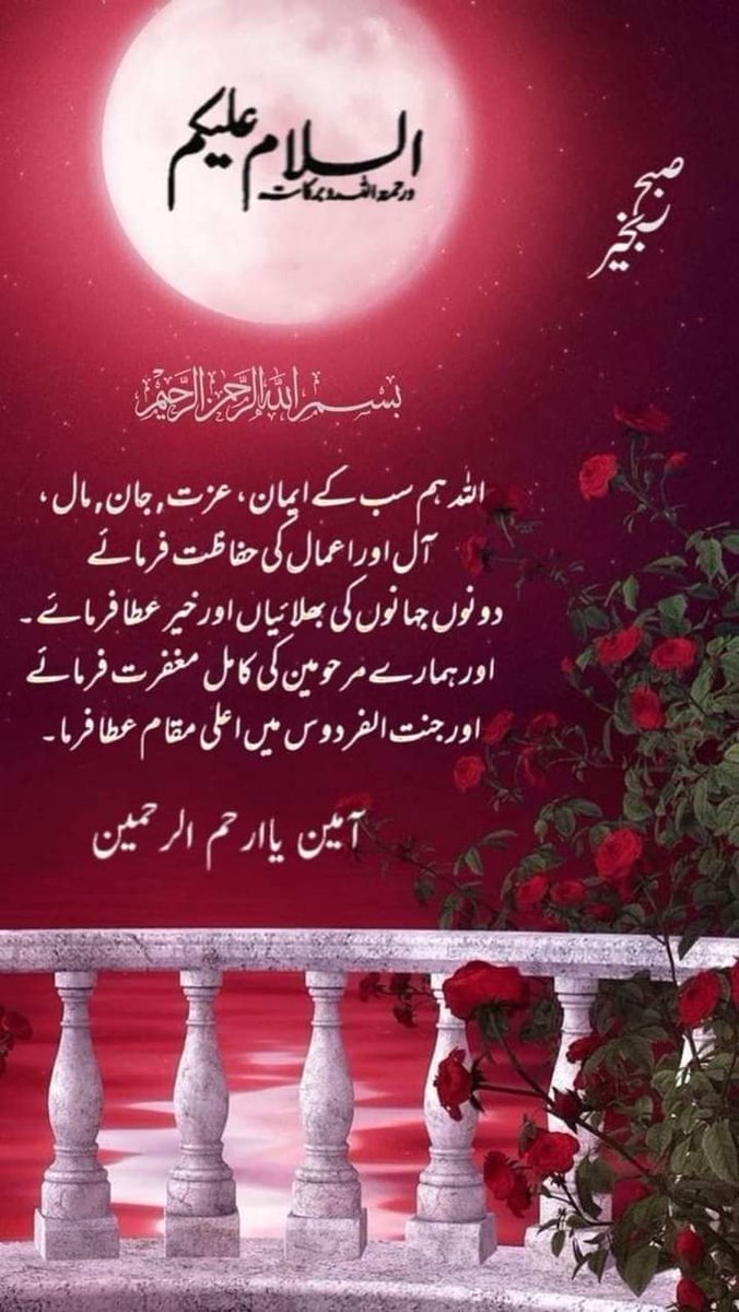 Usman Ali tweet media