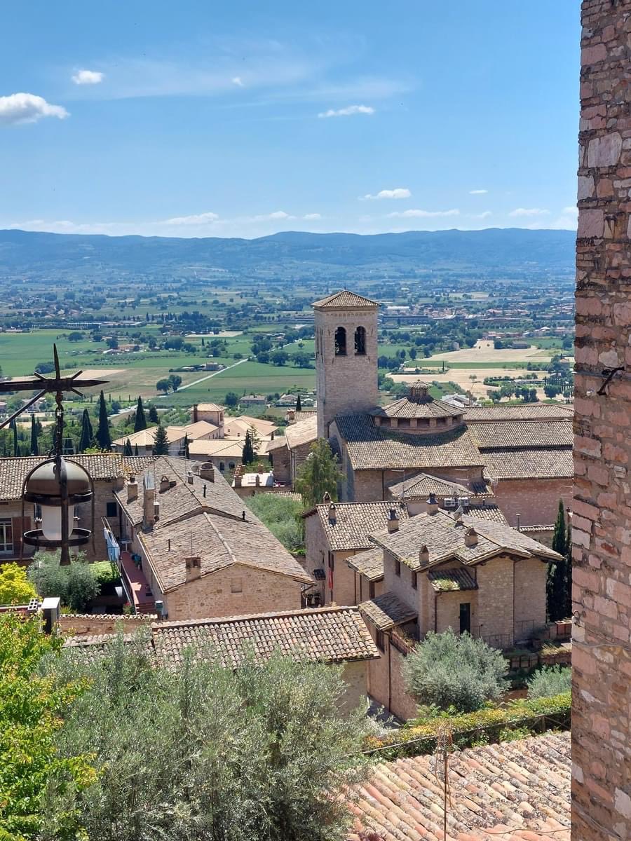 Foto Di Assisi tweet media