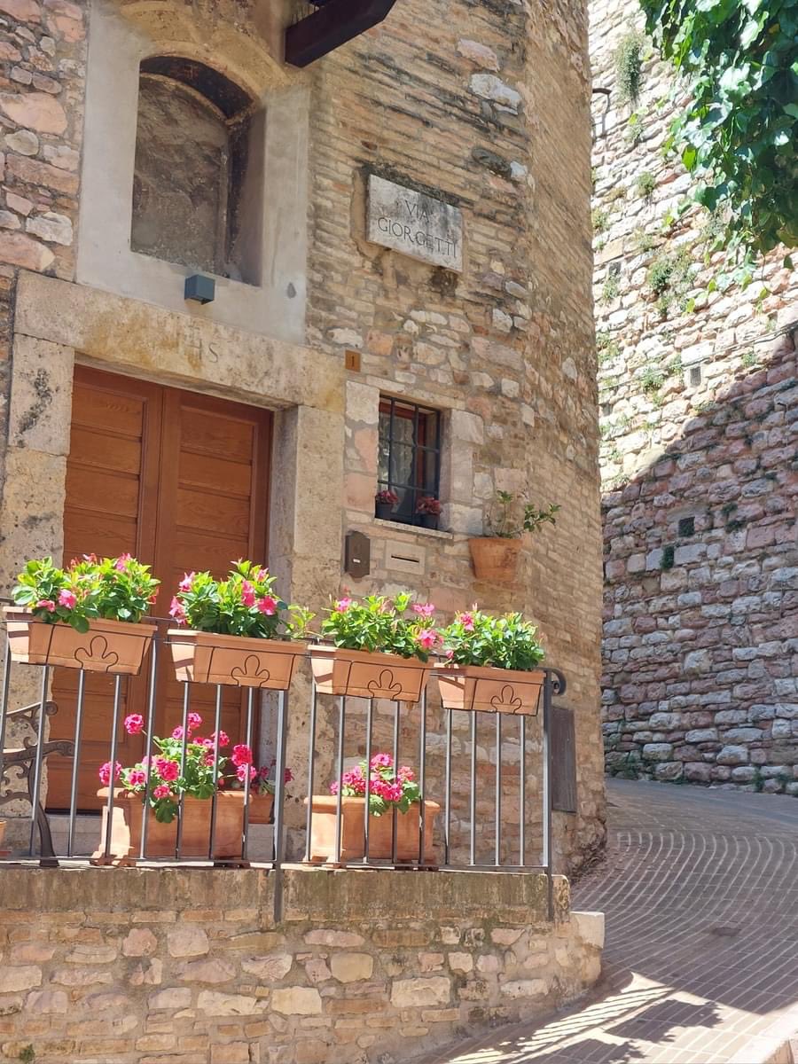 Foto Di Assisi tweet media