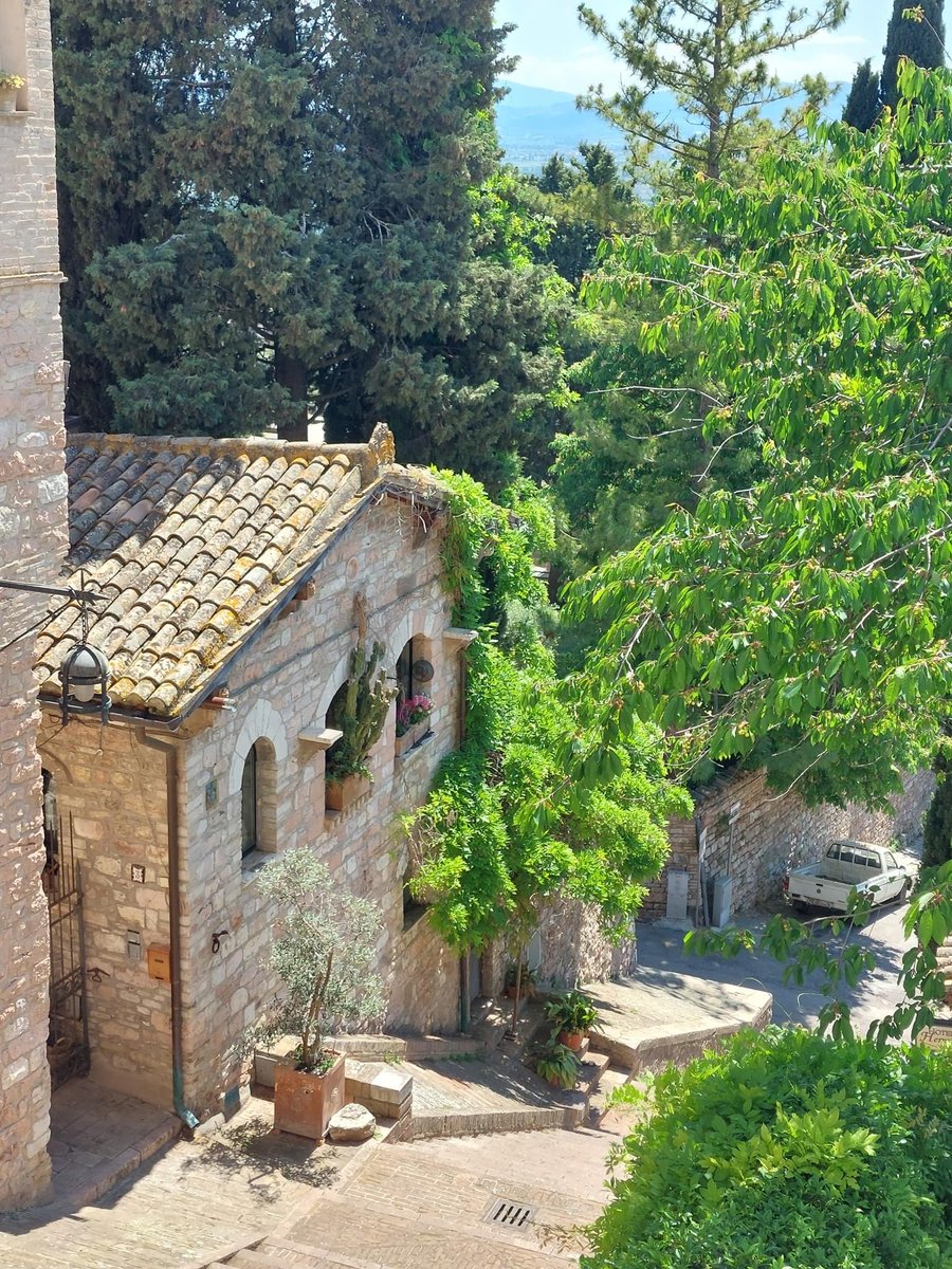 Foto Di Assisi tweet media