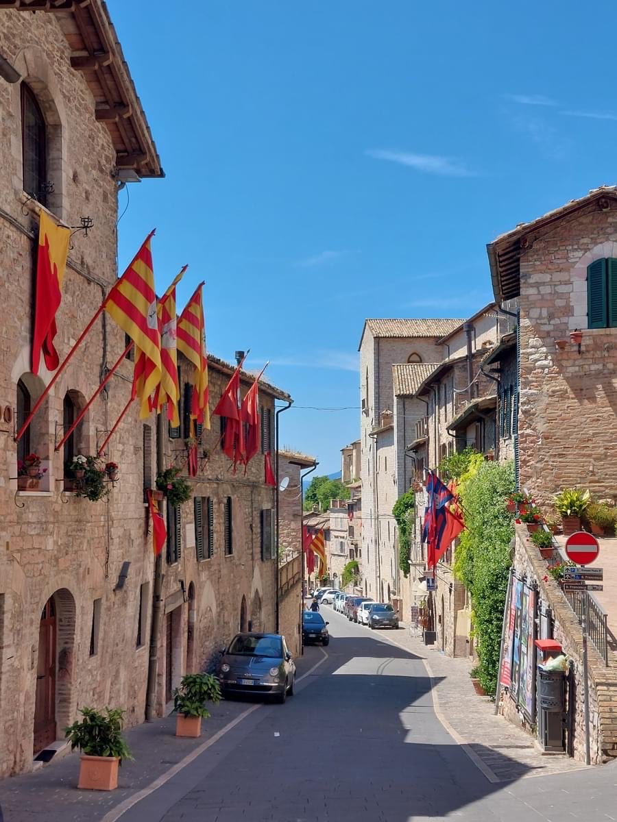 Foto Di Assisi tweet media