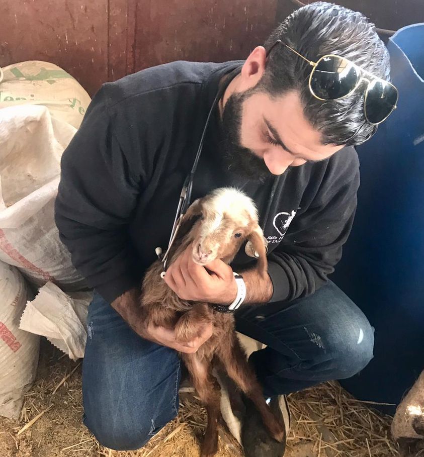 ⛑️Vet, Dr Rakan hits the road 🚑 Our mobile clinic brings essential veterinary care directly to animals in West Bank communities. Many pet owners struggle to afford vet care, or lack access to a clinic. Your support makes this crucial work possible 💛 ow.ly/VlF650QRwf4 🙏