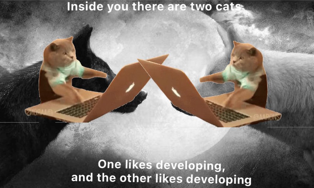 DevCat 💻 tweet media