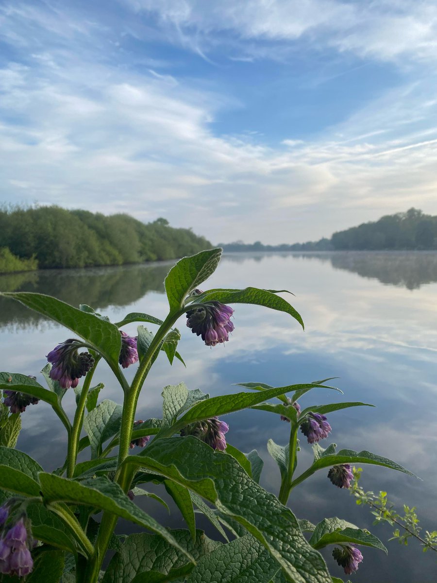 Good Morning #Solihull, have a great weekend! On #Saturday there will be a mix of sunny or cloudy spells and scattered showers. The odd rumble of thunder possible. Light winds. Highs of 20°C & Lows of 9°C (Image: #Earlswood Lakes - Vickie Mellor).